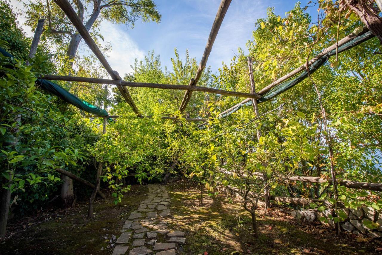 Villa Casa Angelica Sorrent Exterior foto